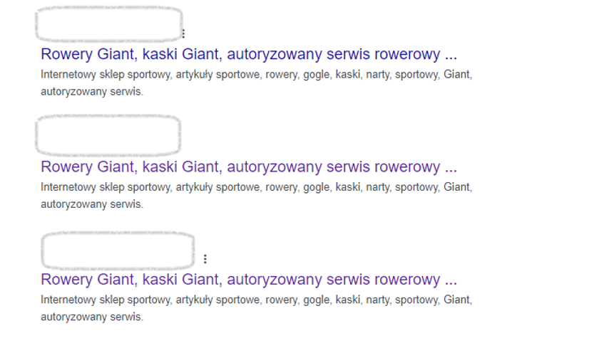 Wyniki SERP sklepu internetowego