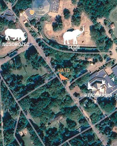 Mapa ZOO z zaznaczonym miejscem gołębia HATO