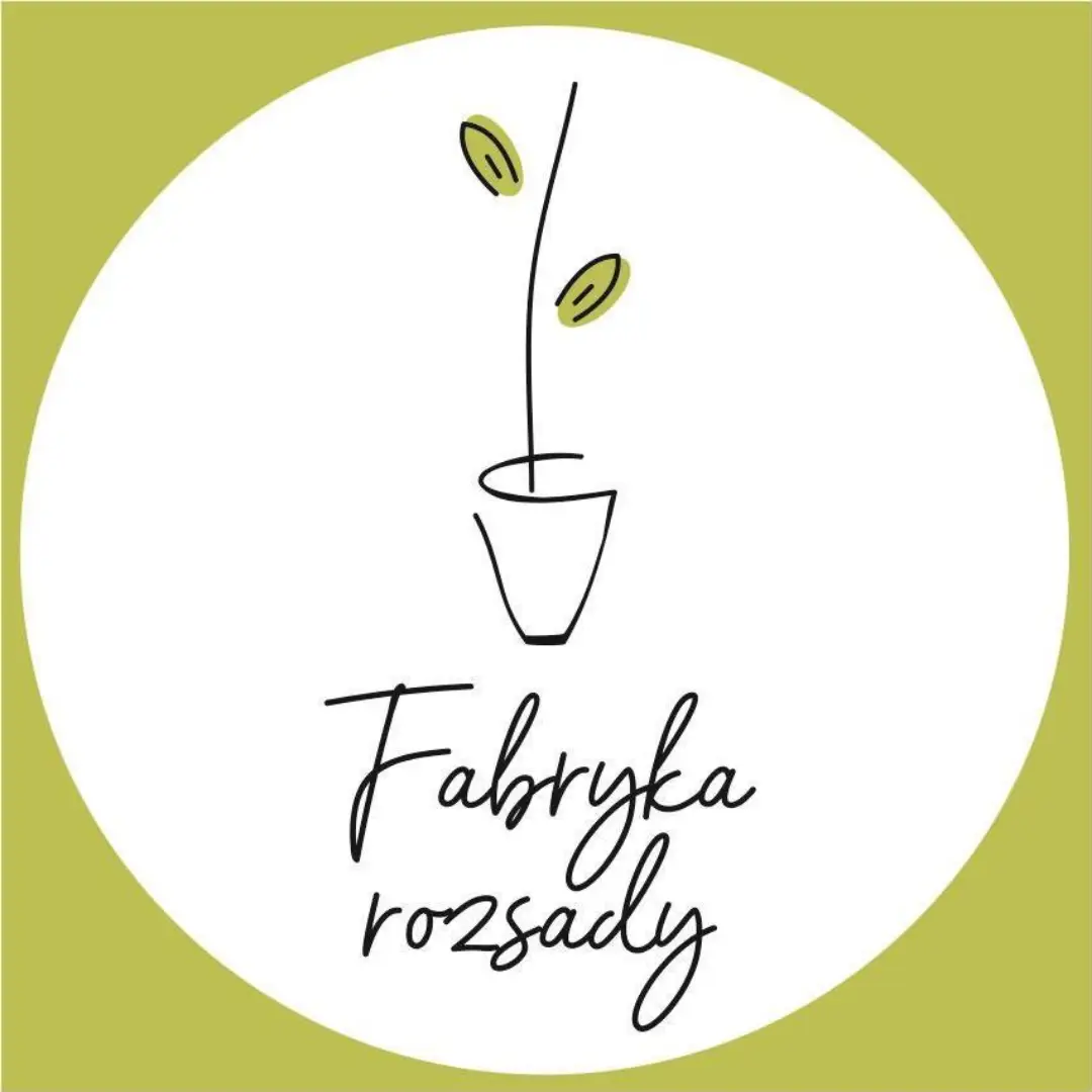 Fabryka rozsady